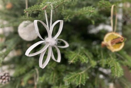 Rožica iz kartonske rolice na naravni smrečici.