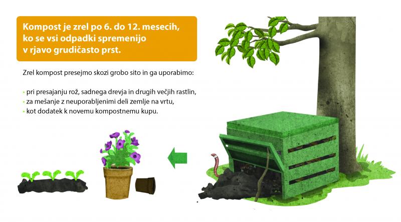 Ilustriran prikaz uporabe komposta (za lončnice)