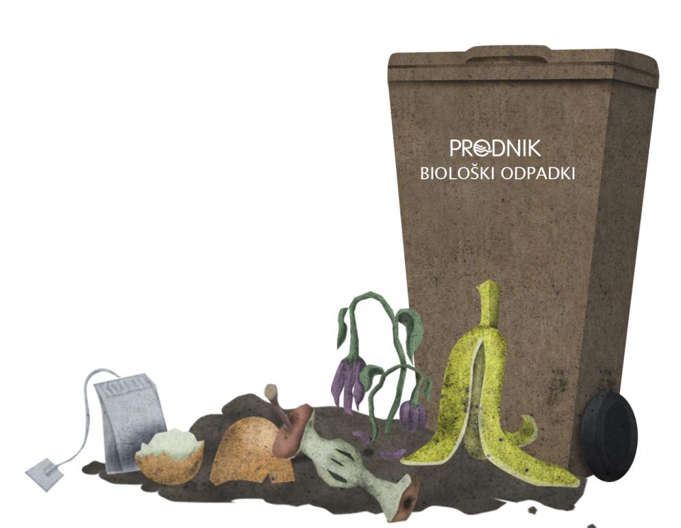 Na sliki je ilustracija rjavega zabojnika za odpadke in biološko razgradljivi odpadki: čajna vrečka, bananin olupek, ostanek jabolka, jajčna lupina, zemlja, posušeno cvetje, posušen kos kruha.